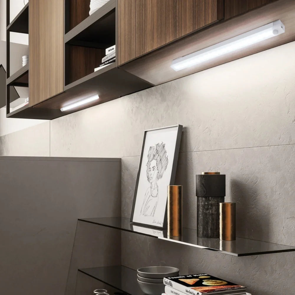 Wireless LED Motion Sensor Light